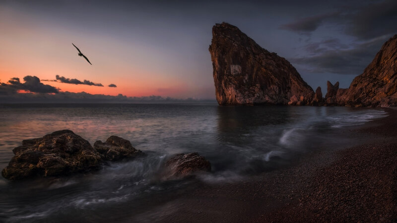 Seagull Flying over Rocks — Orange, Dramatic