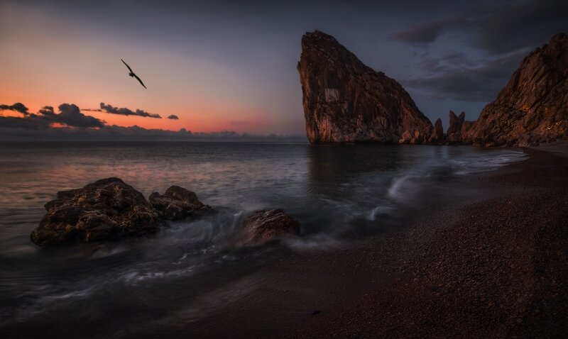 Seagull Flying over Rocks — Orange