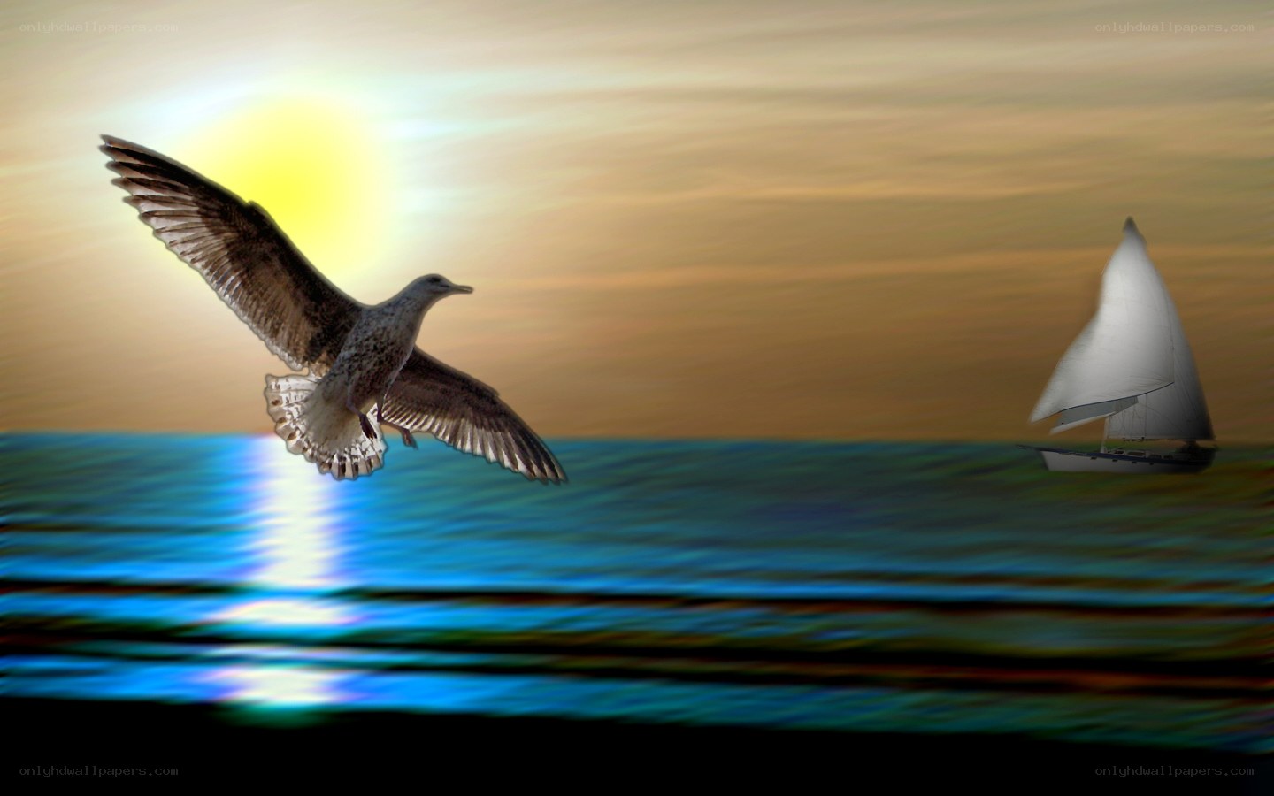 Seagull flying over sailboat at sunset