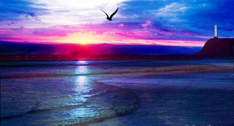 Seagull Flying over Sea — Purple, Dramatic