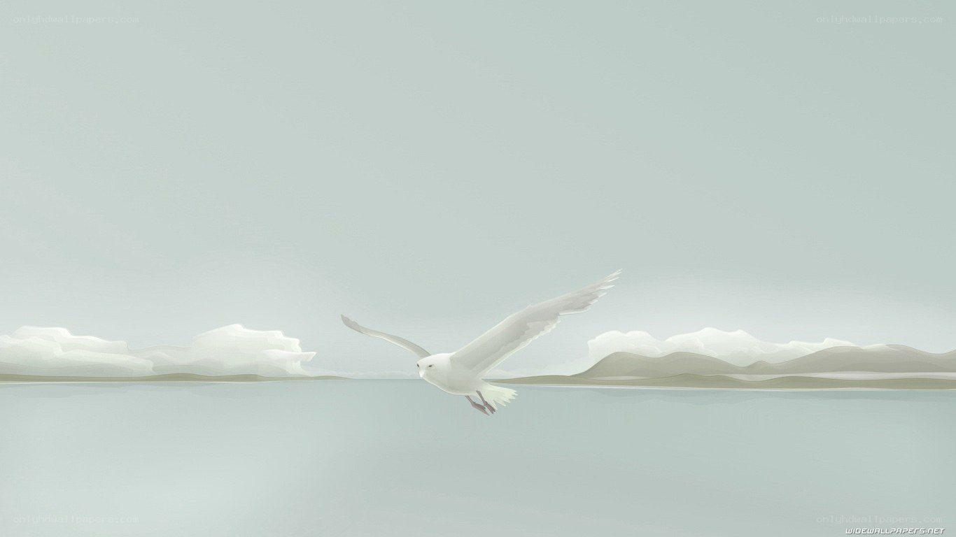 Seagull flying over water