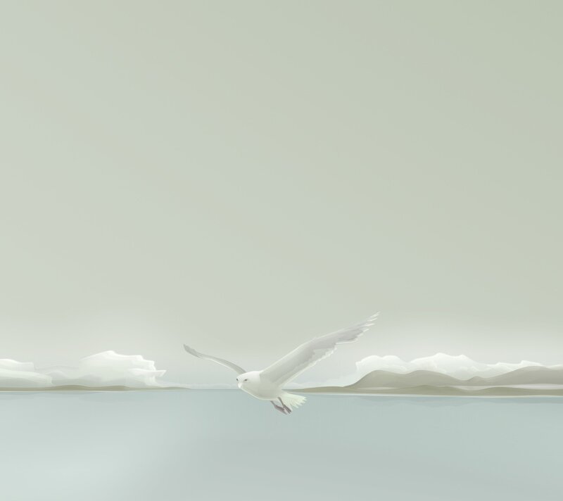 Seagull flying over water