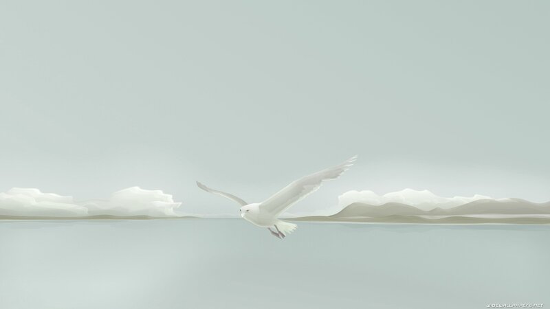 Seagull flying over water