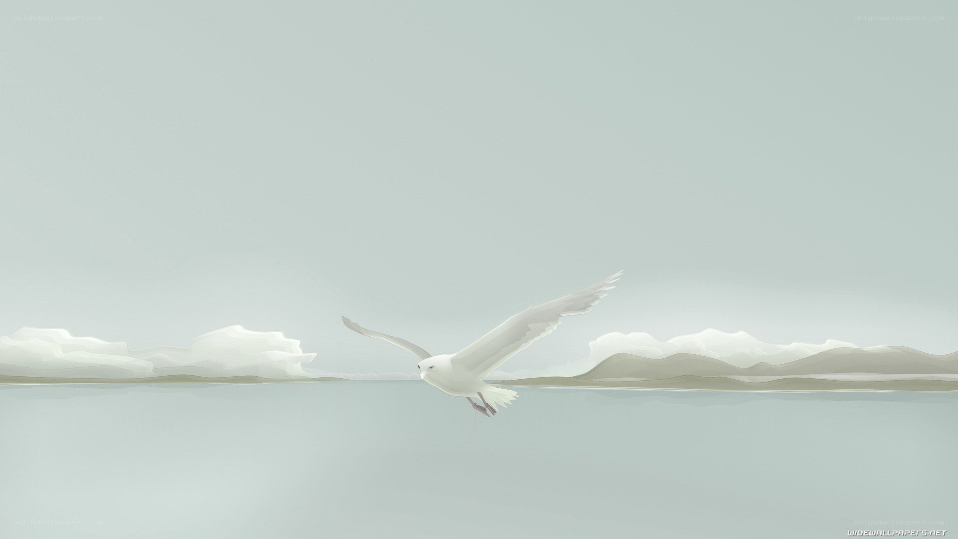 Seagull flying over water