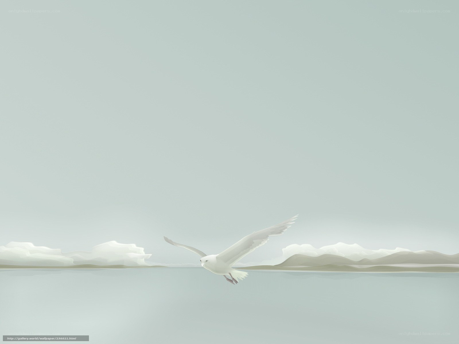 Seagull Flying Over Water
