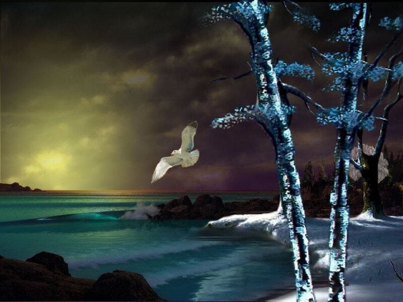 Seagull Flying over Water — Blue, Dramatic