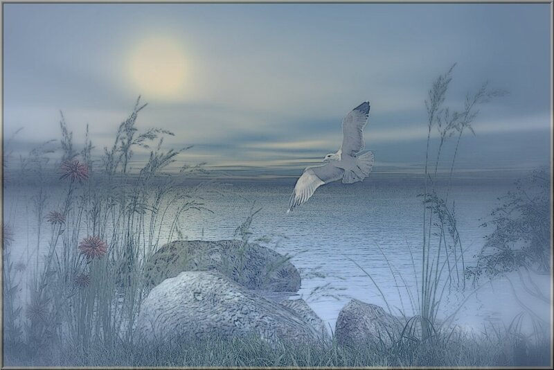 Seagull Flying over Water — Blue