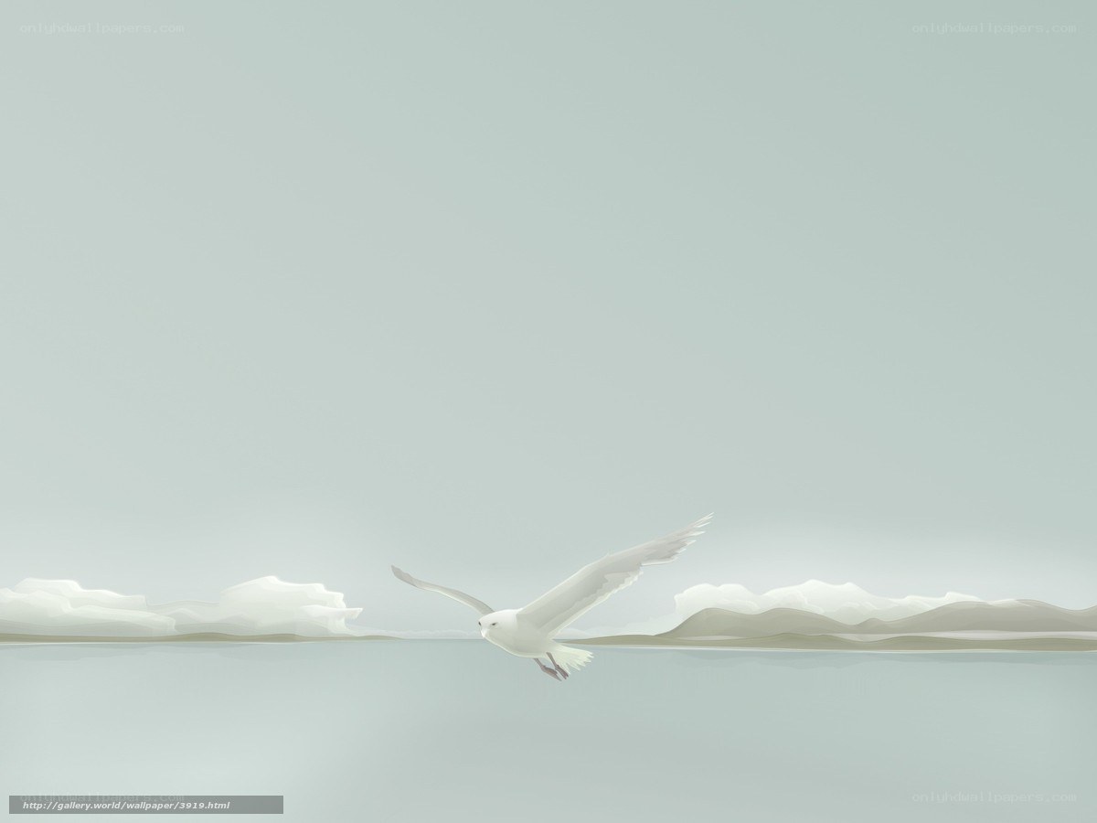 Seagull Flying Over Water