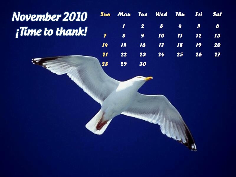 Seagull in Flight — Blue, Serene, Autumn