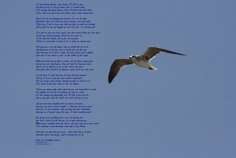 Seagull in Flight — Blue, Serene, Morning