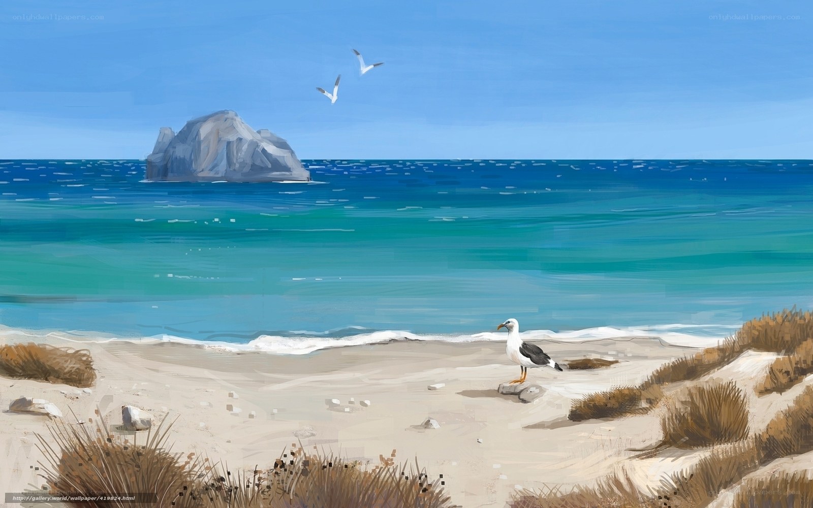 Seagull on a sandy beach