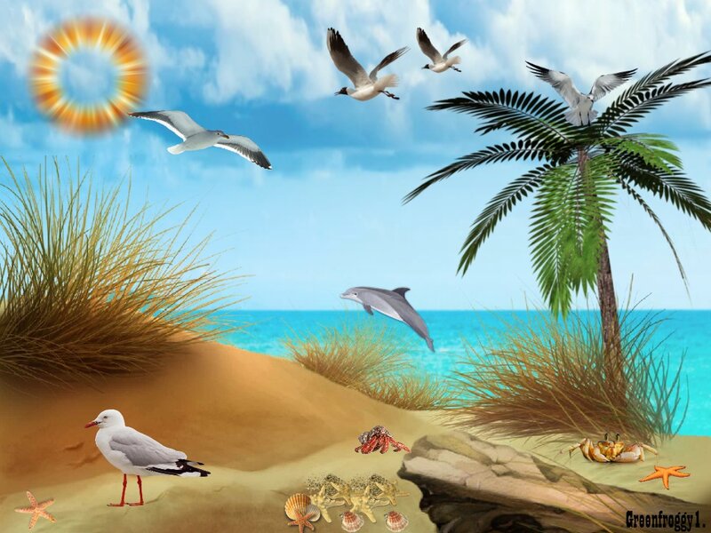 Seagull on Beach — Blue, Serene, Afternoon, Digital Art, Dolphin
