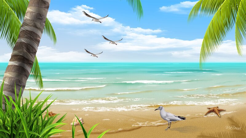 Seagull on Beach — Blue, Serene, Afternoon, Digital Art, Palm Tree