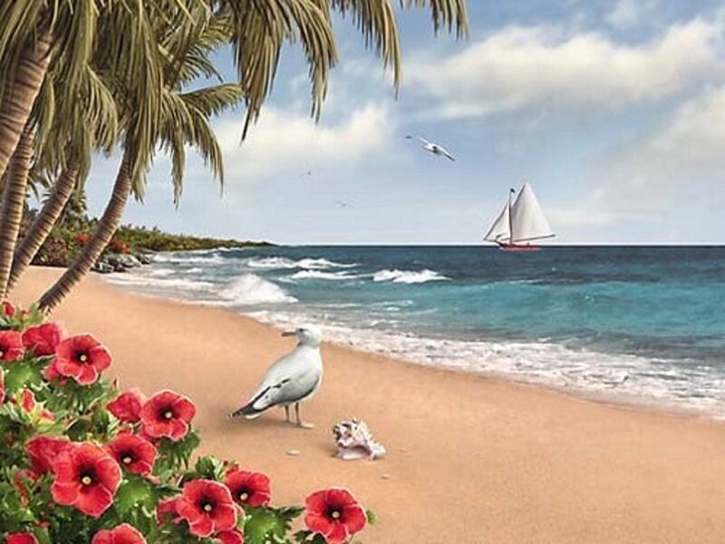Seagull on Beach — Blue, Serene, Afternoon, Digital Art