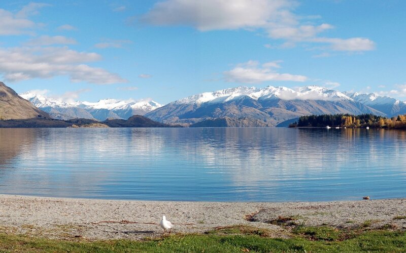 Seagull on Beach — Blue, Serene, Autumn