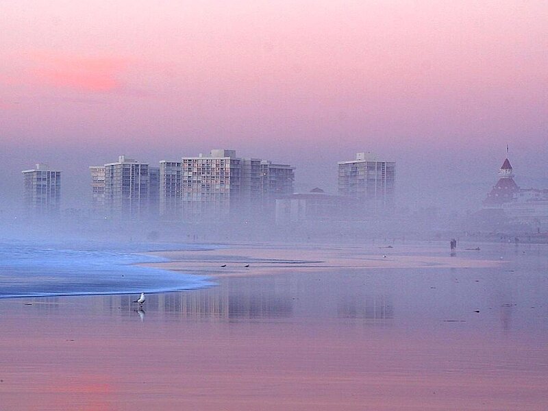 Seagull on Beach — Pink