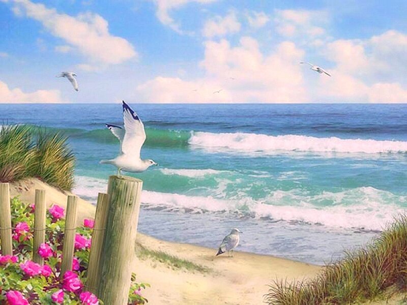 Seagull on Beach Post — Blue, Serene