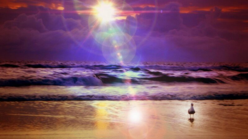 Seagull on Beach — Purple, Dramatic, Sunset, Digital Art