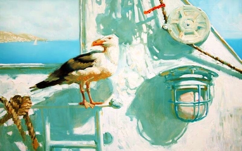 Seagull on Boat Deck