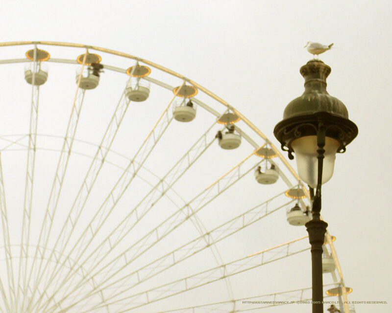 Seagull on lamp post near ferris wheel