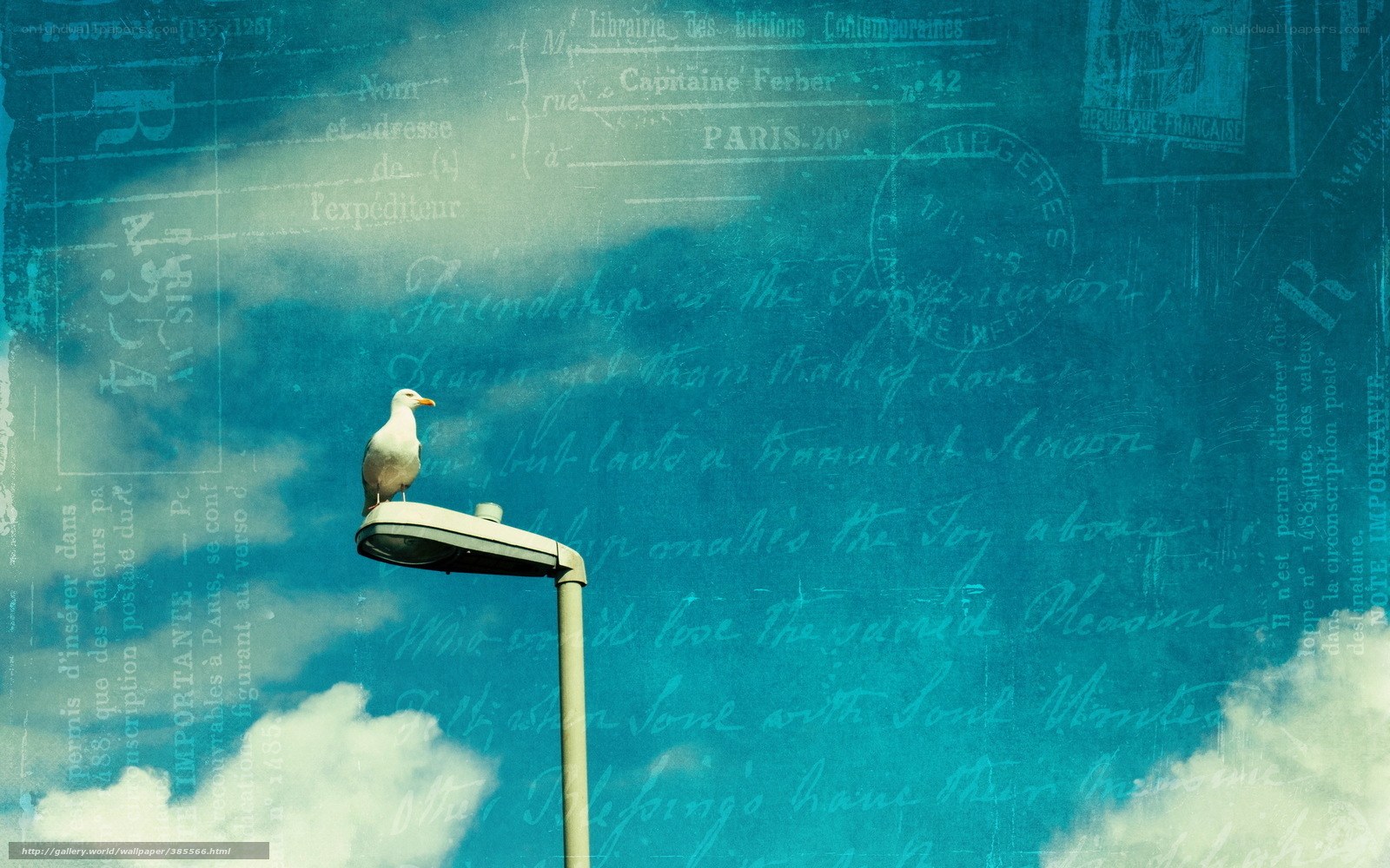 Seagull on lamp post