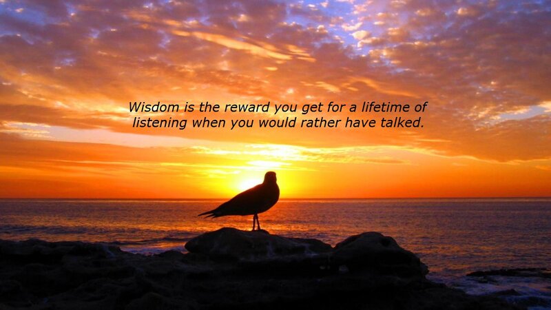 Seagull on Rock — Orange, Serene, Sunset