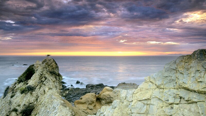 Seagull on Rocky Cliff — Purple, Dramatic, Sunset
