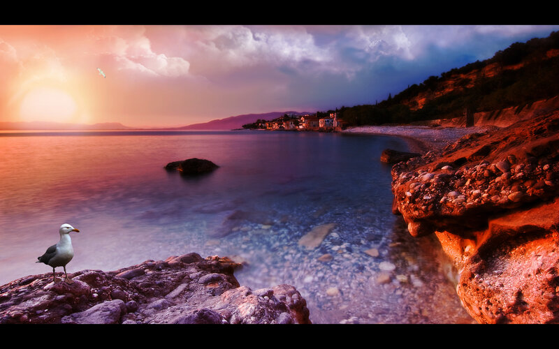 Seagull on Rocky Shore — Purple