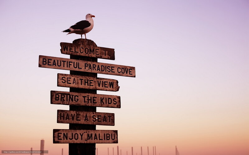 Seagull on welcome sign at sunset