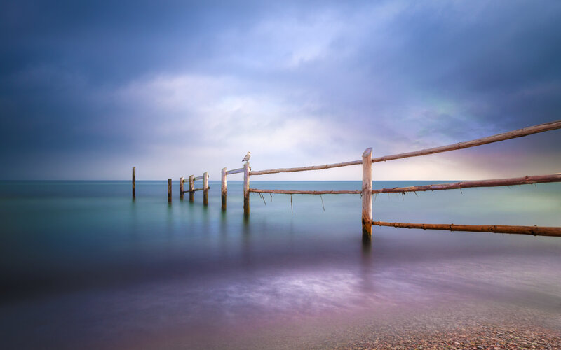 Seagull on Wooden Pier