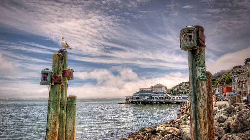 Seagull on Wooden Post — Blue, Dramatic