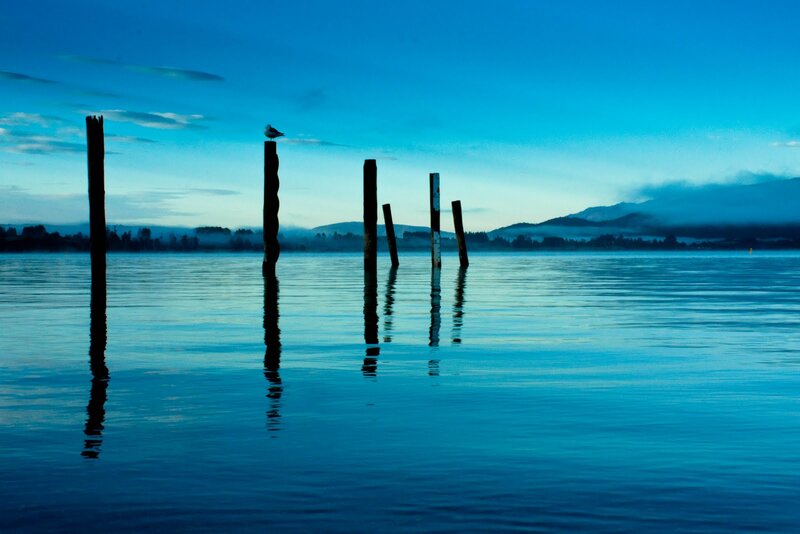 Seagull on Wooden Post — Blue, Serene