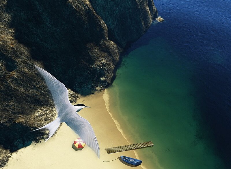 Seagull over a secluded beach
