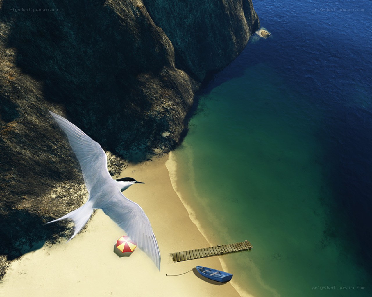Seagull over a secluded beach