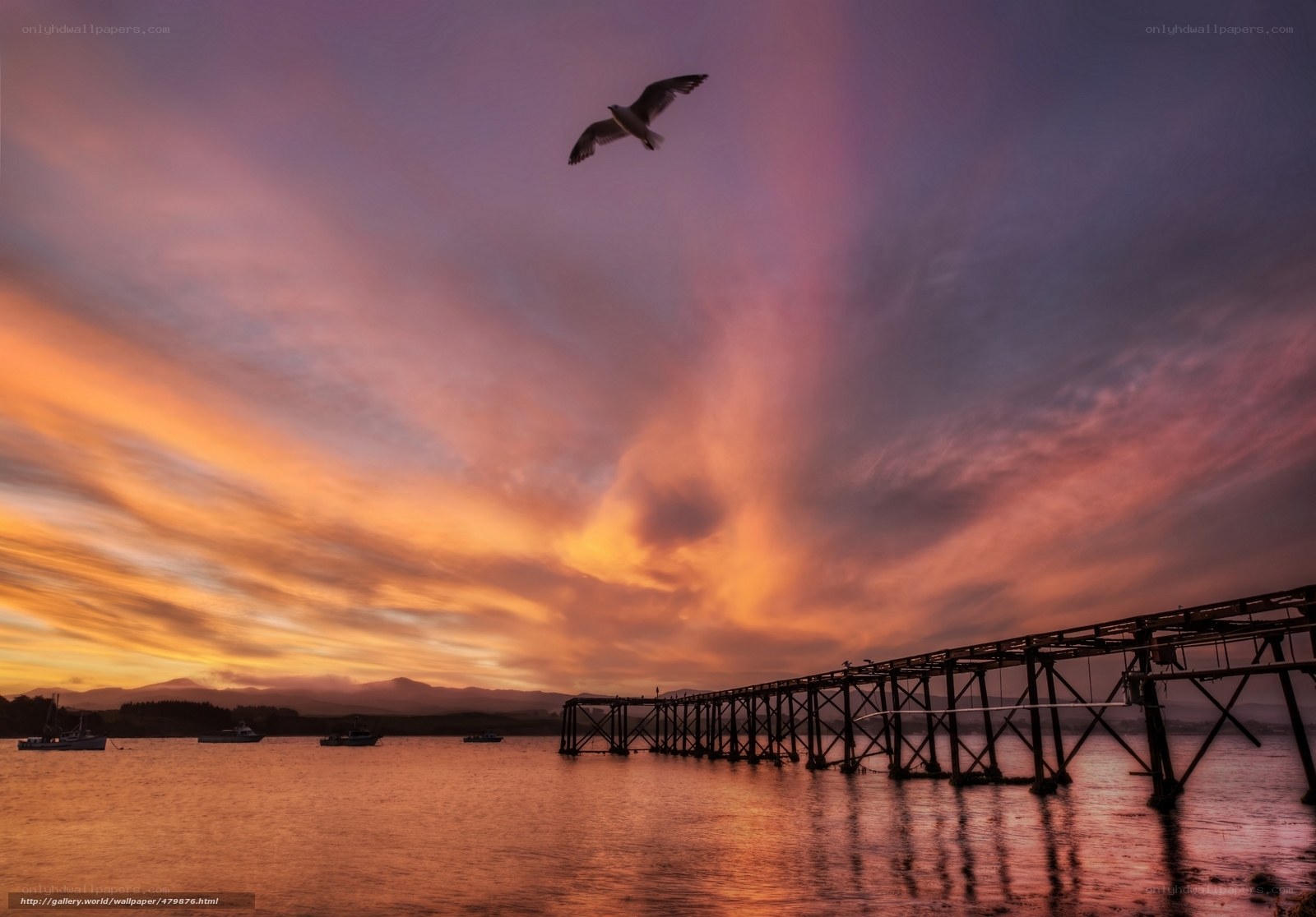 Seagull over a sunset pier