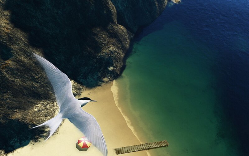 Seagull over beach cove