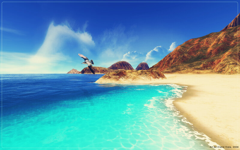 Seagull over tropical beach