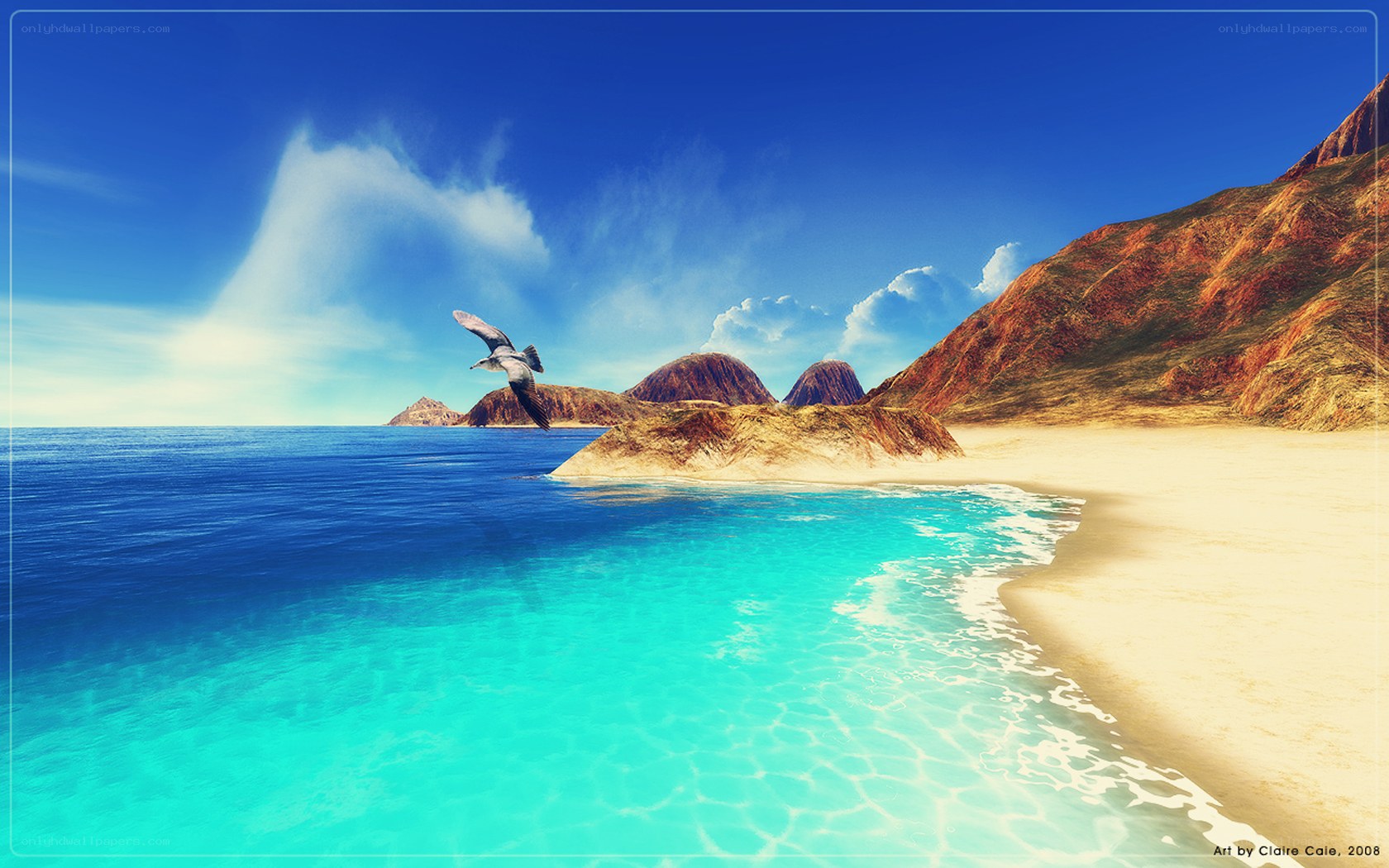 Seagull over tropical beach