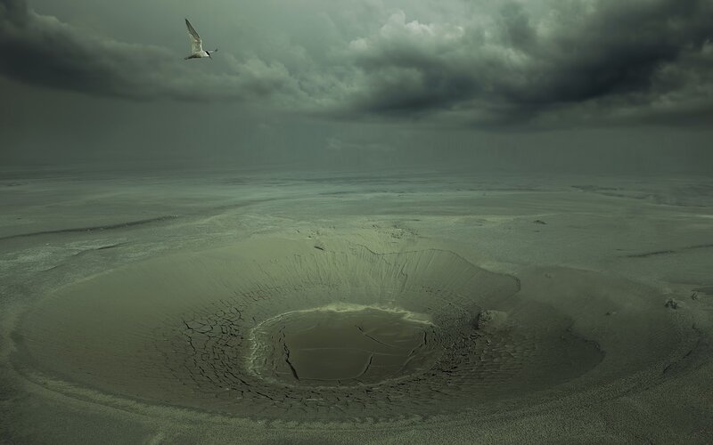 Seagull over volcanic crater