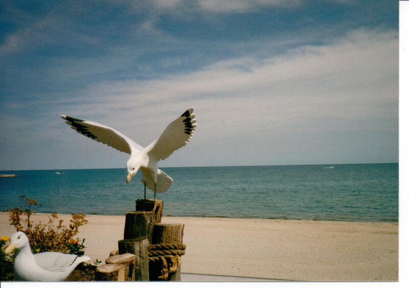 Seagull Statue on Beach