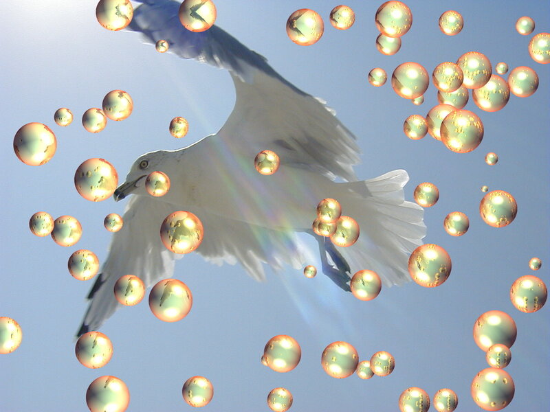 Seagull with golden bubbles
