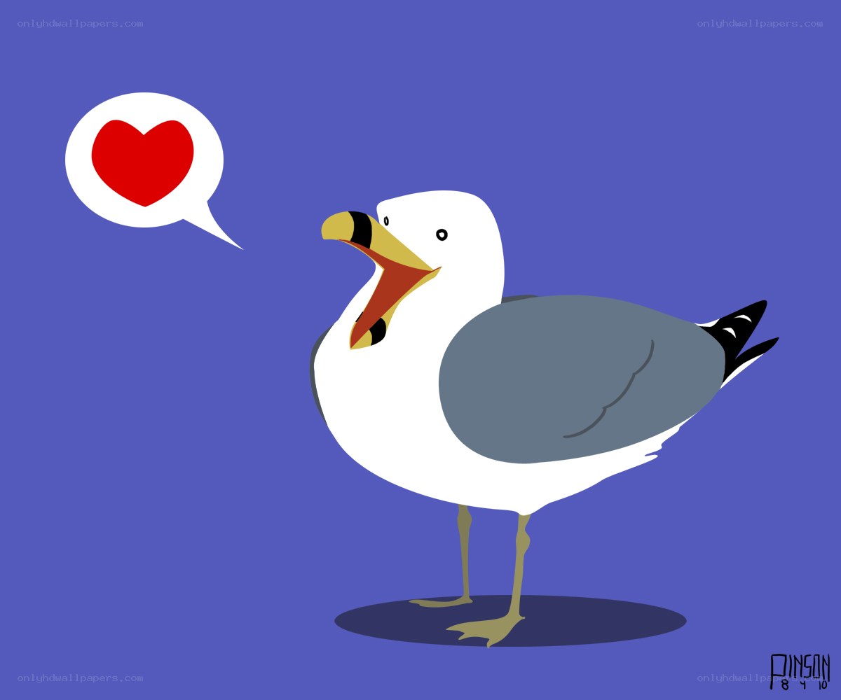 seagull with heart speech bubble