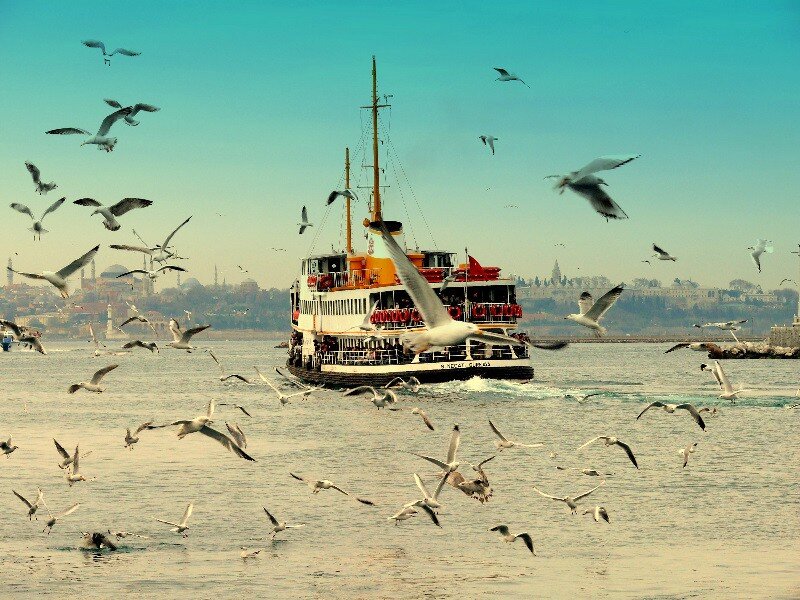 Seagulls and ferry in Istanbul