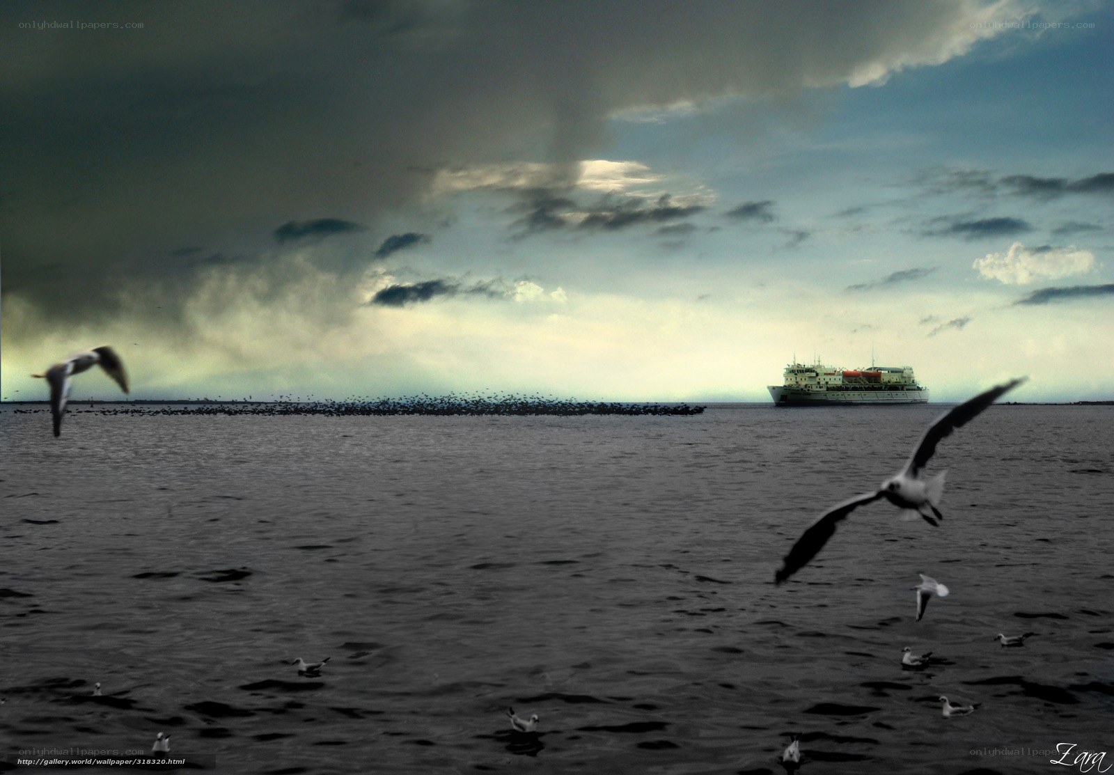 Seagulls and Ship at Sea
