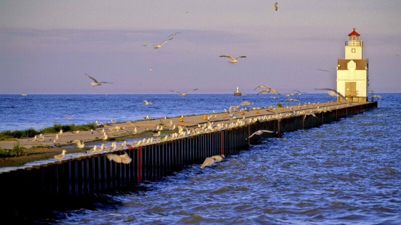 Seagulls at a lighthouse pier