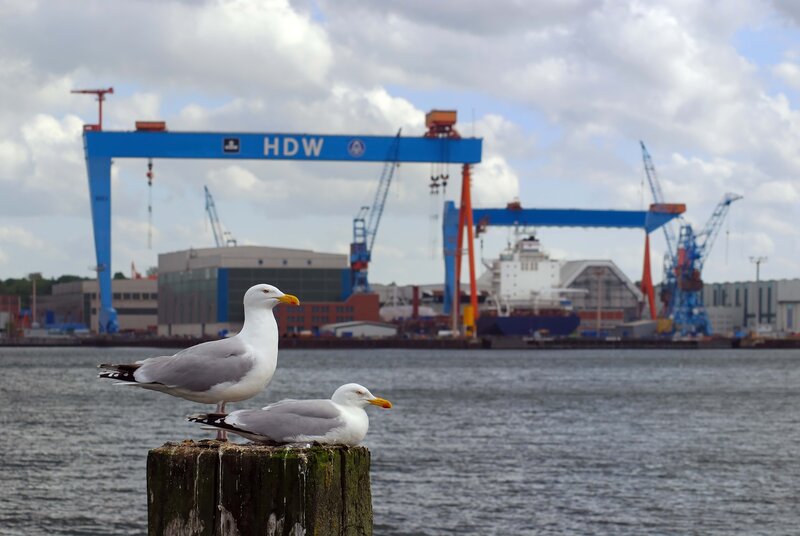 Seagulls at a shipyard