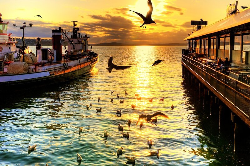 Seagulls at Sunset — Gold