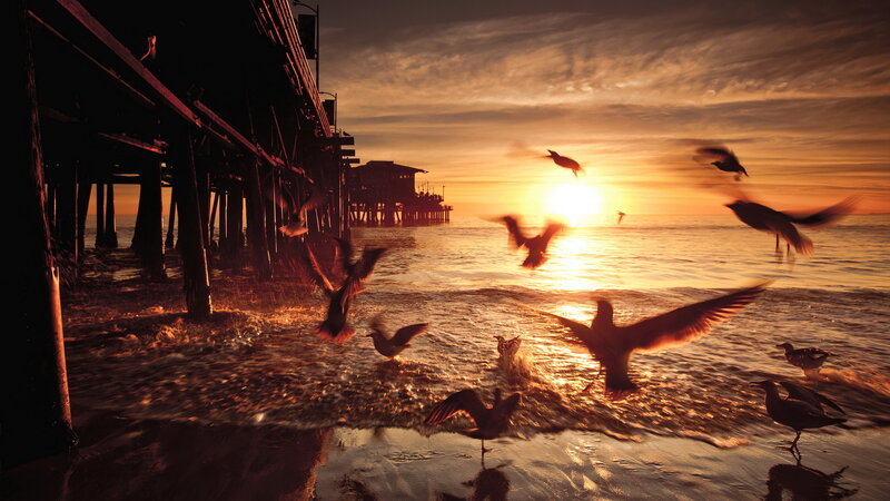Seagulls at Sunset — Orange, Dramatic, Photograph, Pier