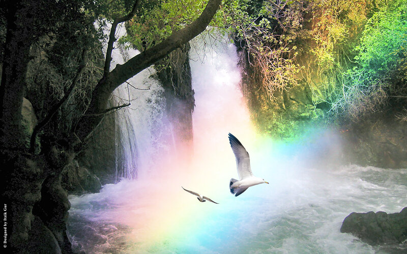 Seagulls Flying Near Waterfall