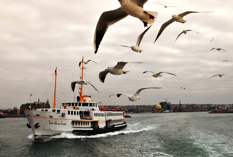 Seagulls flying over a ferry